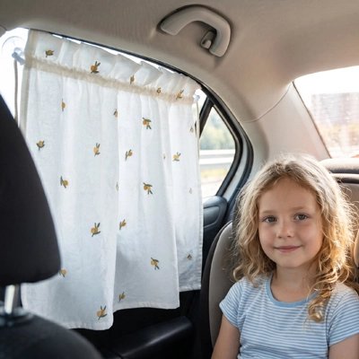 Rideau pour voiture